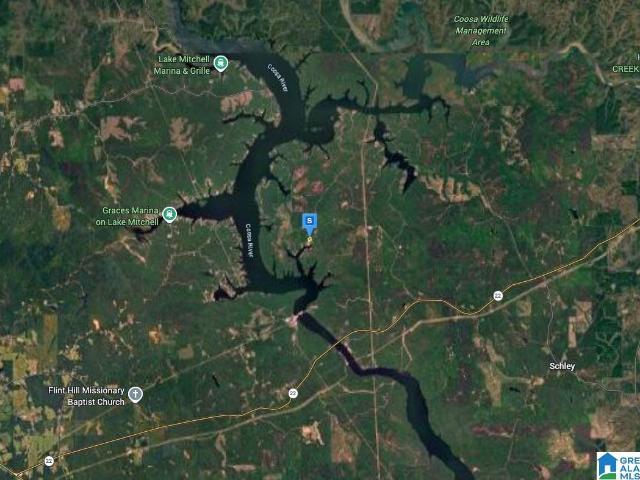 Land for sale in Coosa, Alabama