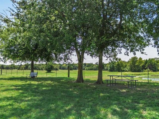 Land for sale in Cumby, Texas