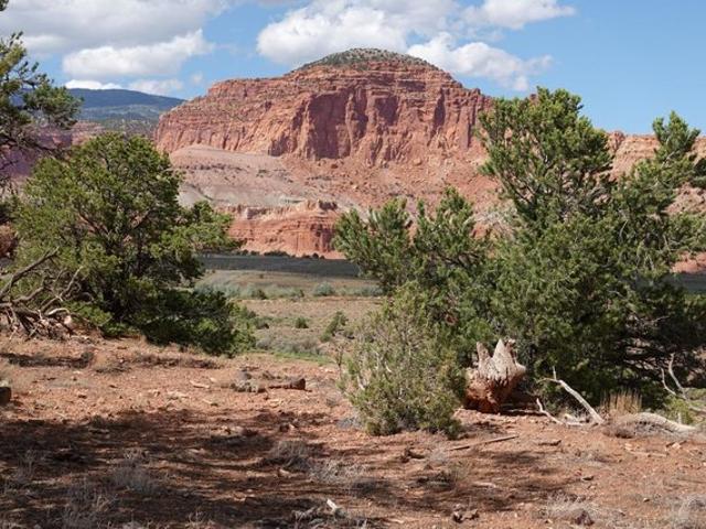 Land for sale in Torrey, Utah
