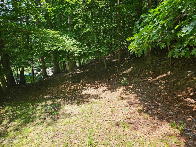 Land for sale in Virginia