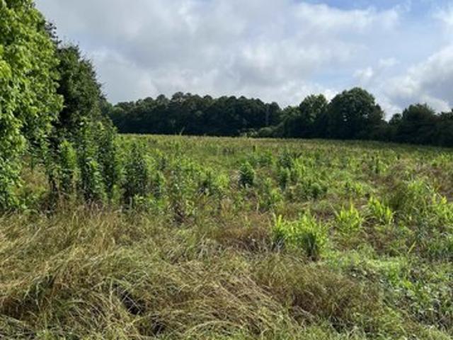 Land for sale in Arab, Alabama