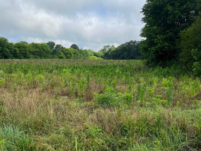 Land for sale in Arab, Alabama