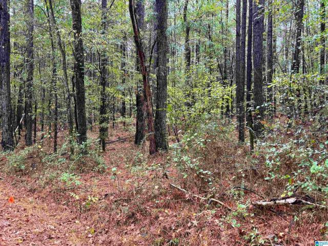 Land for sale in Columbiana, Alabama