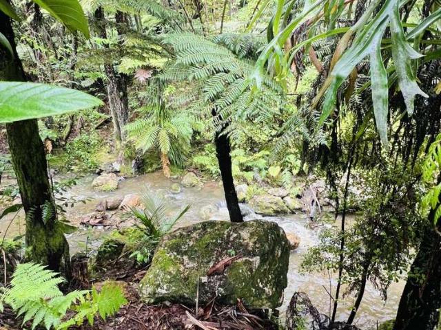 House for sale in Coromandel, Waikato
