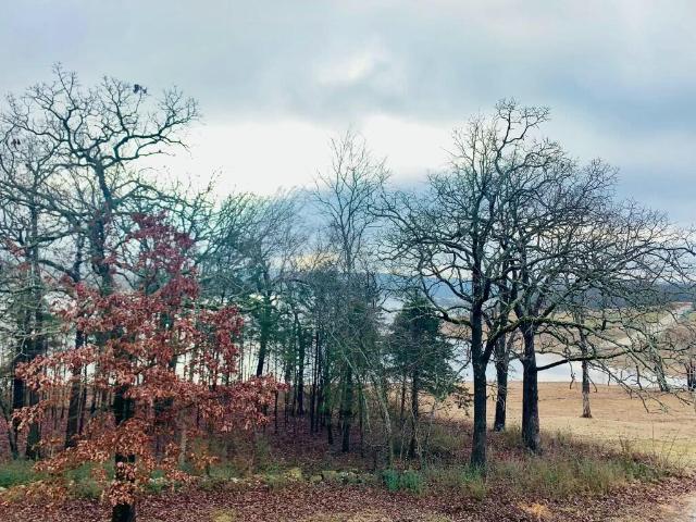 House for sale in Stone, Missouri