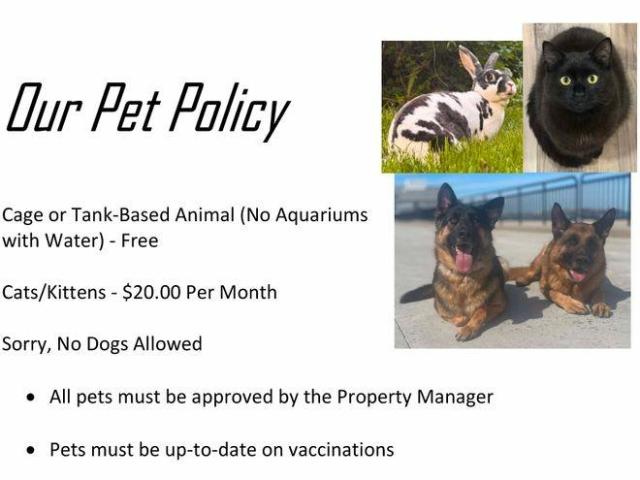 Apartment for rent in New Hampshire
