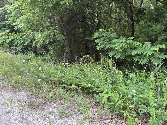 Land for sale in Ark