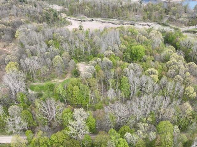 Land for sale in Deerfield, Michigan