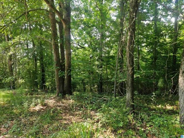 Land for sale in Margaret, Alabama