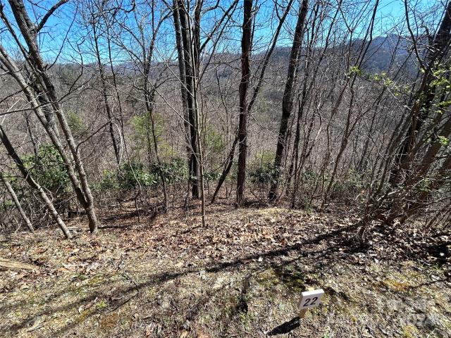 Land for sale in Marshall, North Carolina