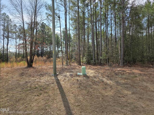 Land for sale in Dunn, North Carolina