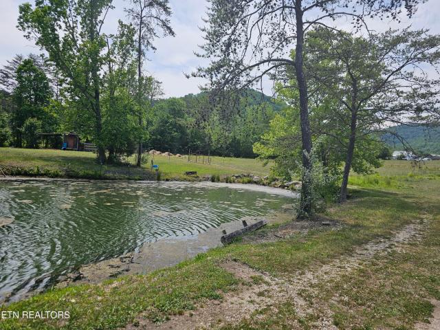Land for sale in Tennessee