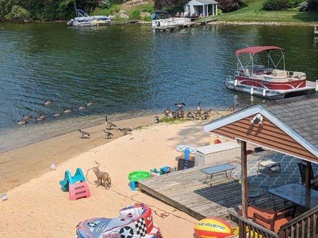 Property for rent in Michigan