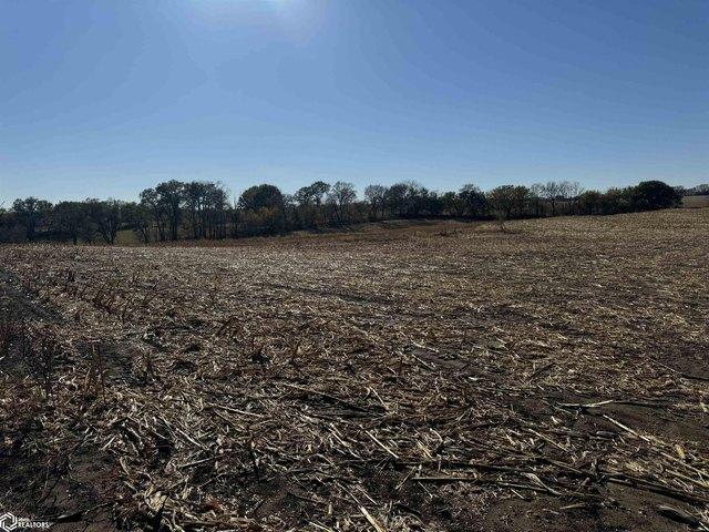 Farm for sale in Sidney, Iowa