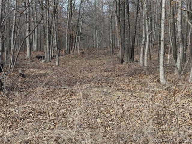 Land for sale in Gravois Mills, Missouri