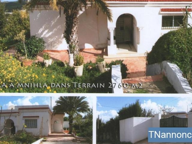 Terrain vente