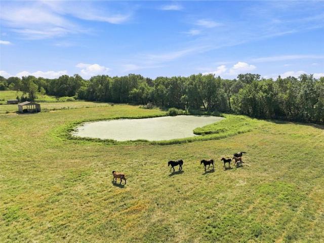 House for sale in Harrisonville, Missouri