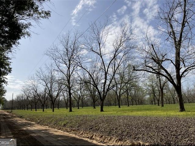 Land for sale in Odum, Georgia