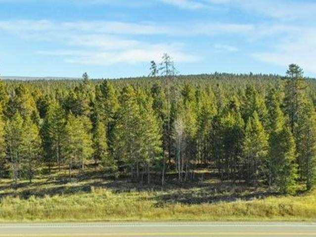 Land for sale in Island Park, Idaho