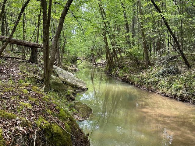 Land for sale in Box Springs, Georgia