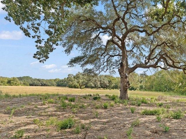 Land for sale in Schulenburg, Fayette County