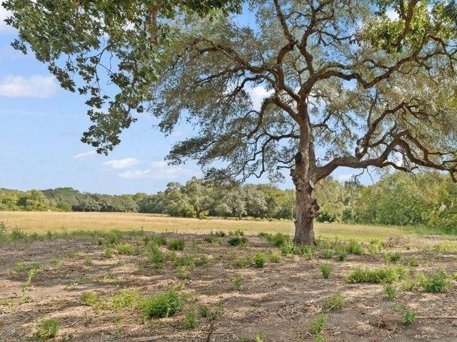 Farm for sale in Schulenburg, Fayette County