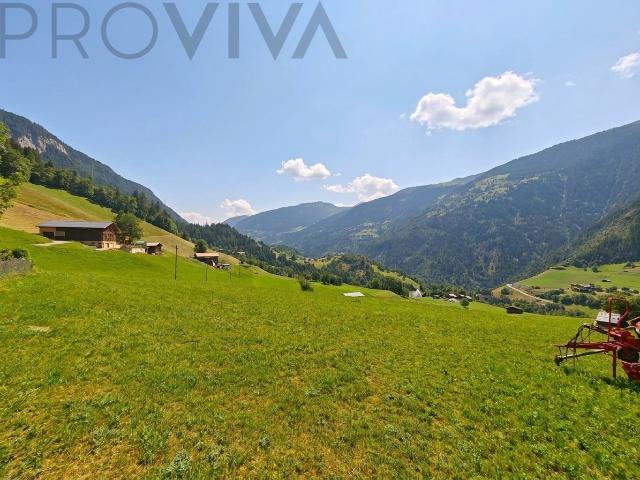 Immobilie kaufen in Grengiols, Wallis