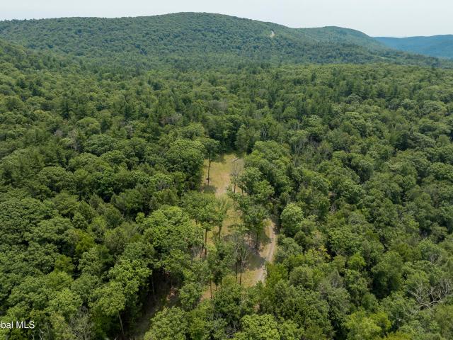 Land for sale in Austerlitz, New York