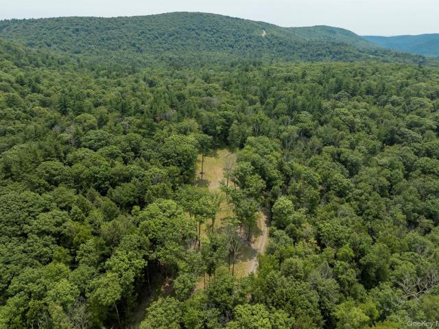 Land for sale in Austerlitz, New York