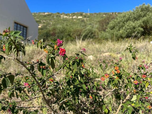 Land for sale in Groot Brak Rivier, Western Cape