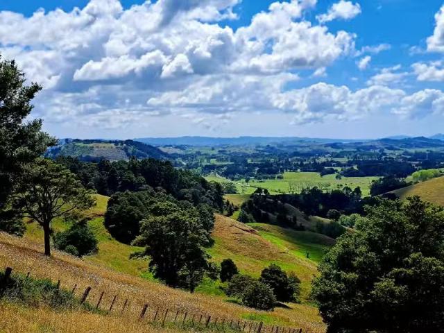 House for sale in Northland
