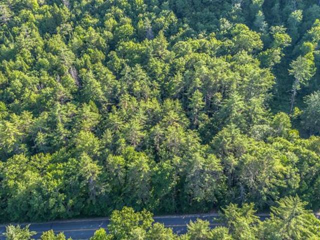 Land for sale in Naples, Maine