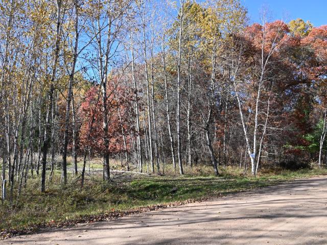 Land for sale in Todd, Minnesota