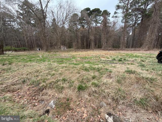 Land for sale in Princess Anne, Maryland