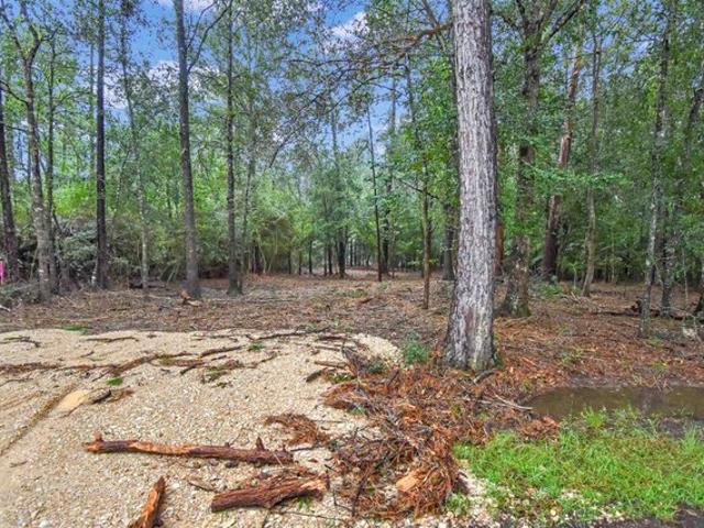 Land for sale in Kountze, Texas
