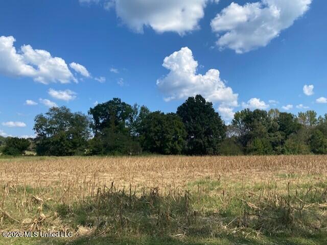 Land for sale in Tate, Mississippi