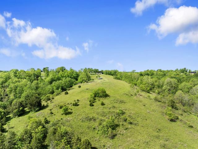 Land for sale in Willisburg, Kentucky