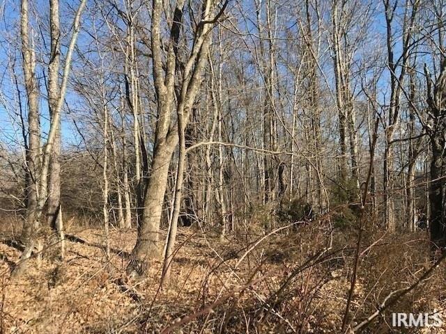 Land for sale in Indiana