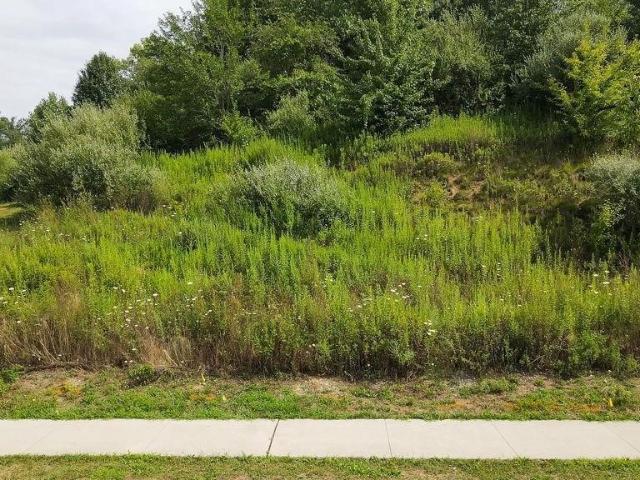 Land for sale in Summit, Ohio
