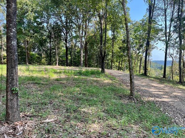Land for sale in Salem, Elkmont