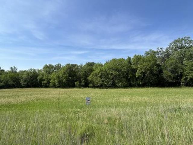 Land for sale in Silver City, Iowa