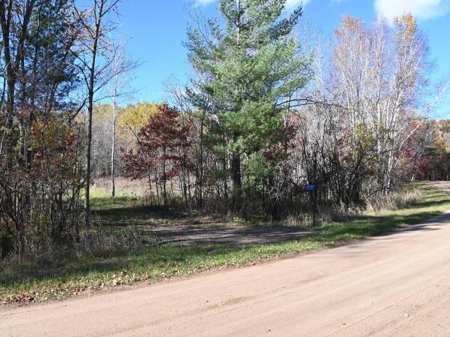 Land for sale in Browerville, Todd County