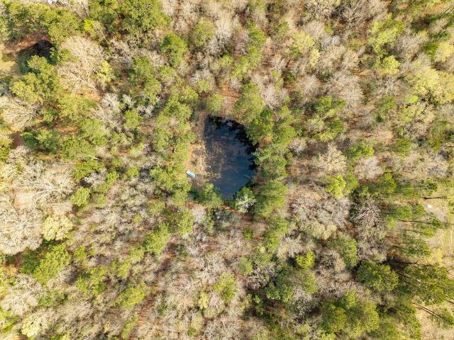 Land for sale in Winters, Texas