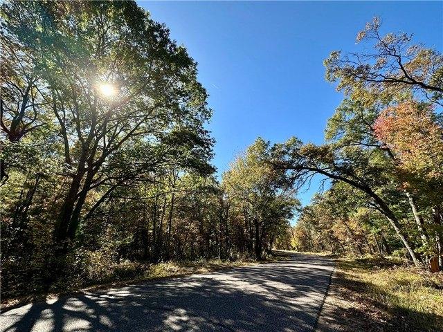 Land for sale in Holcombe, Wisconsin