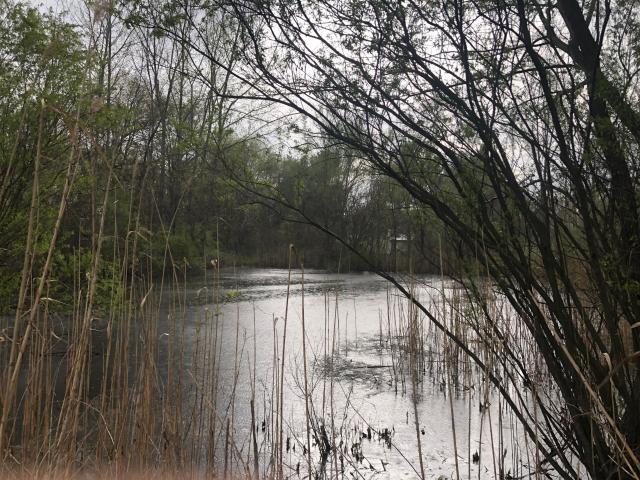 Land for sale in Rensselaer, Indiana