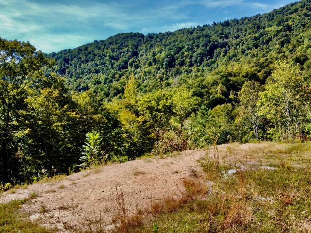 Land for sale in Oneida, East Tennessee