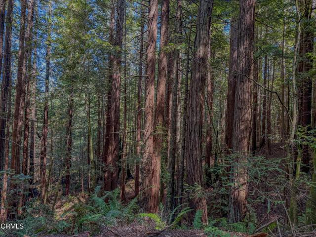 Land for sale in Fort Bragg, Mendocino County