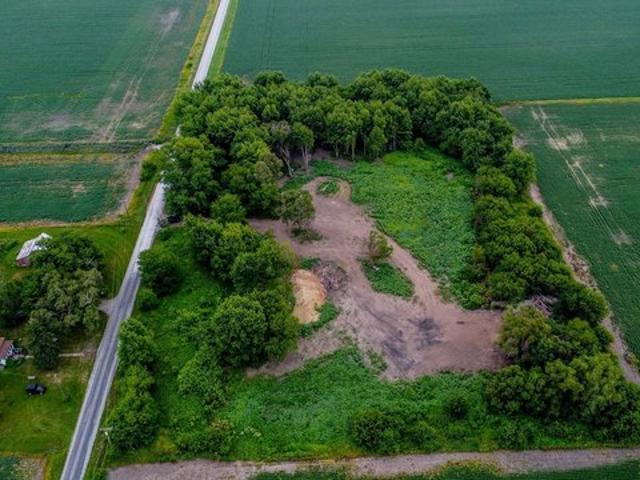 Land for sale in Milford, Illinois