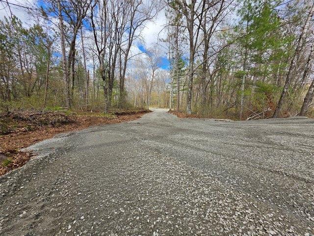 Land for sale in Holcombe, Wisconsin