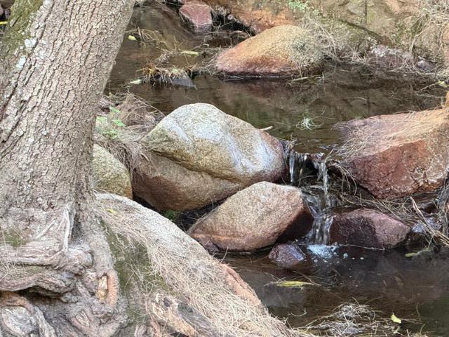 Cottage for sale in Neringla, Queanbeyan-Palerang Regional Council